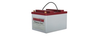 Akumulator RG24-20