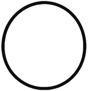 O-ring S1628-027